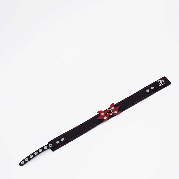 Черный ошейник с красным декором и строчкой