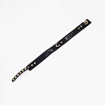 Черный кожаный ошейник с золотистой фурнитурой